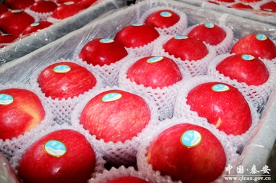 秦安:電子商務(wù)成為脫貧攻堅(jiān)新&ldquo;引擎&rdquo;(圖)